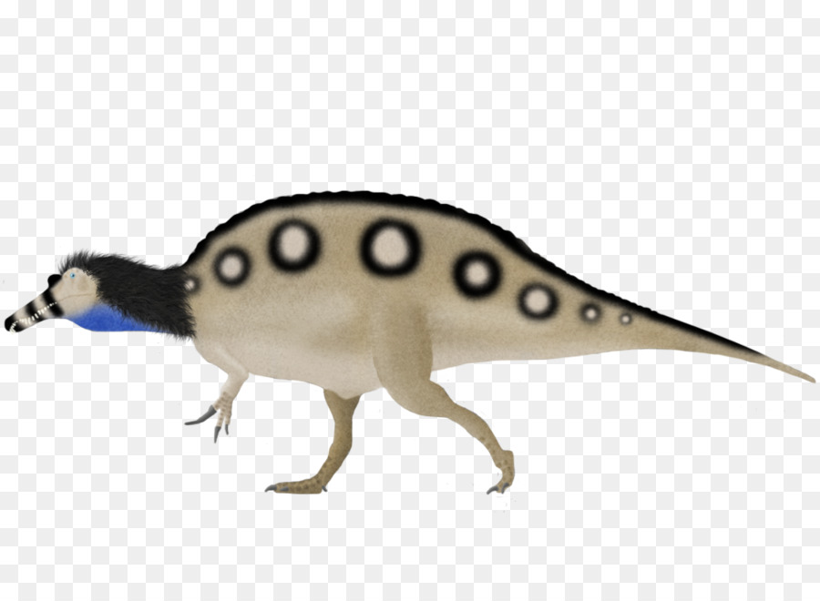 Spinosaurus，Carnotaurus PNG
