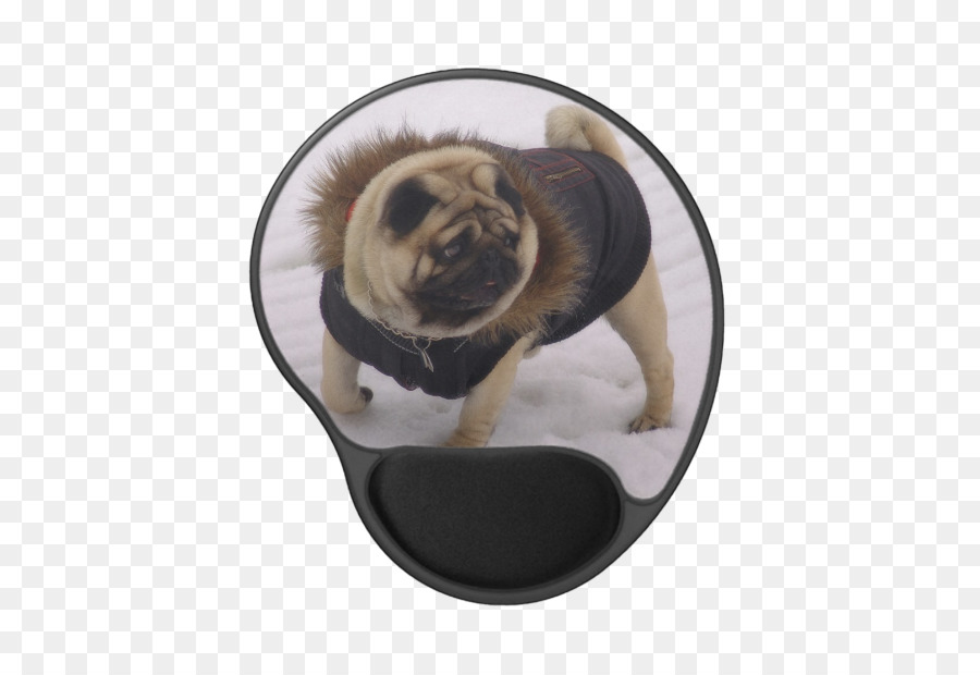 Pug，Cachorro PNG