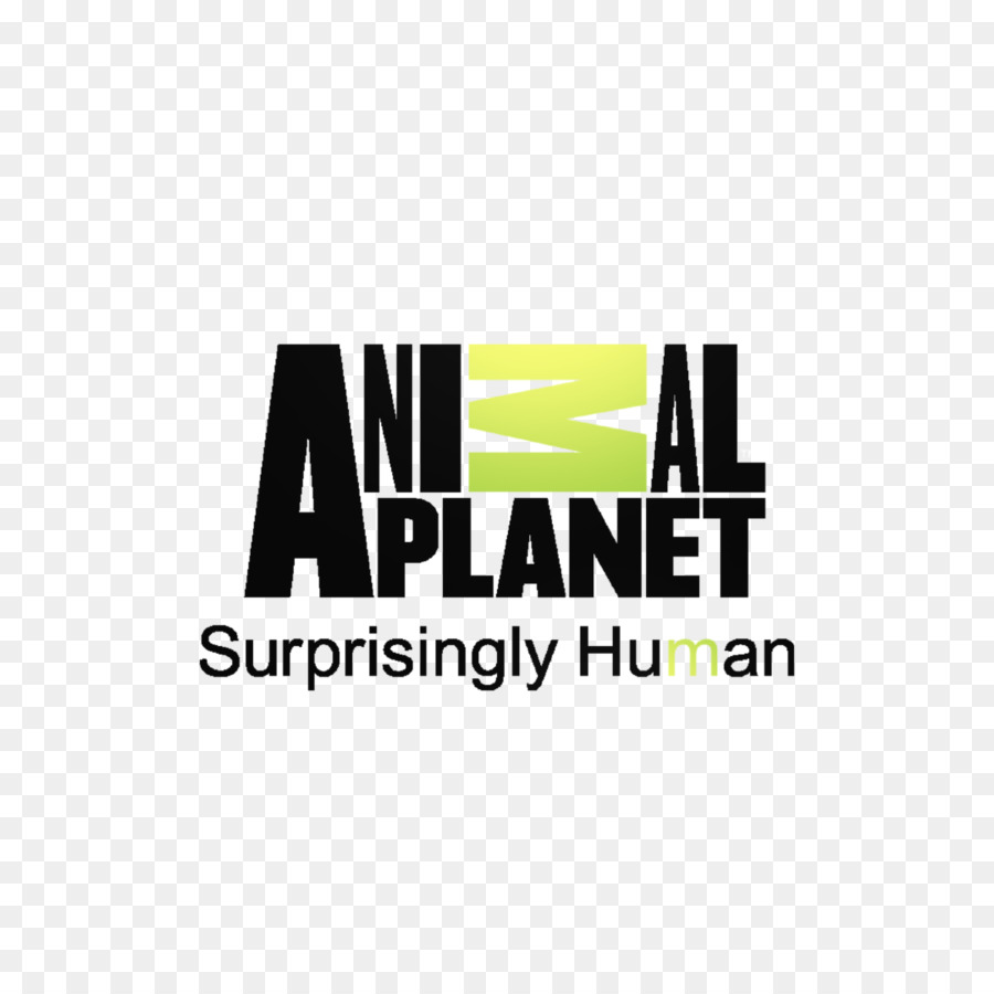 Animal Planet，Gato PNG