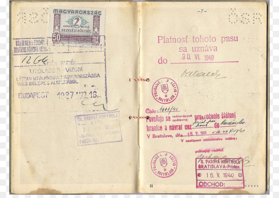 Pasaporte，Documento De Identidad PNG