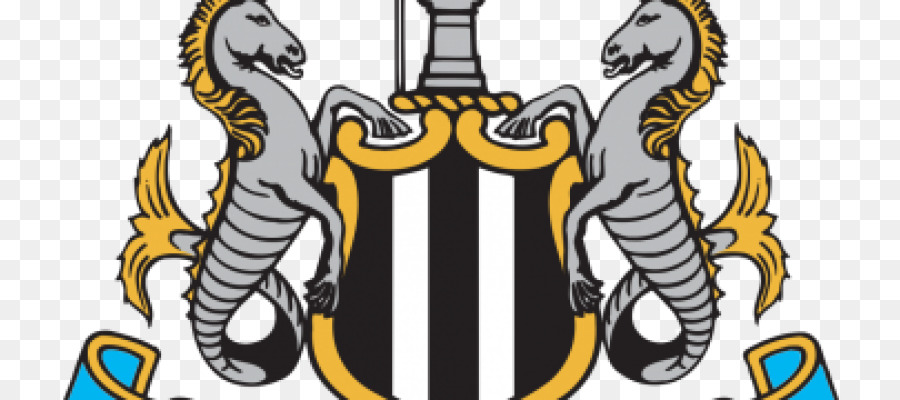 St James Park，El Newcastle United Fc PNG