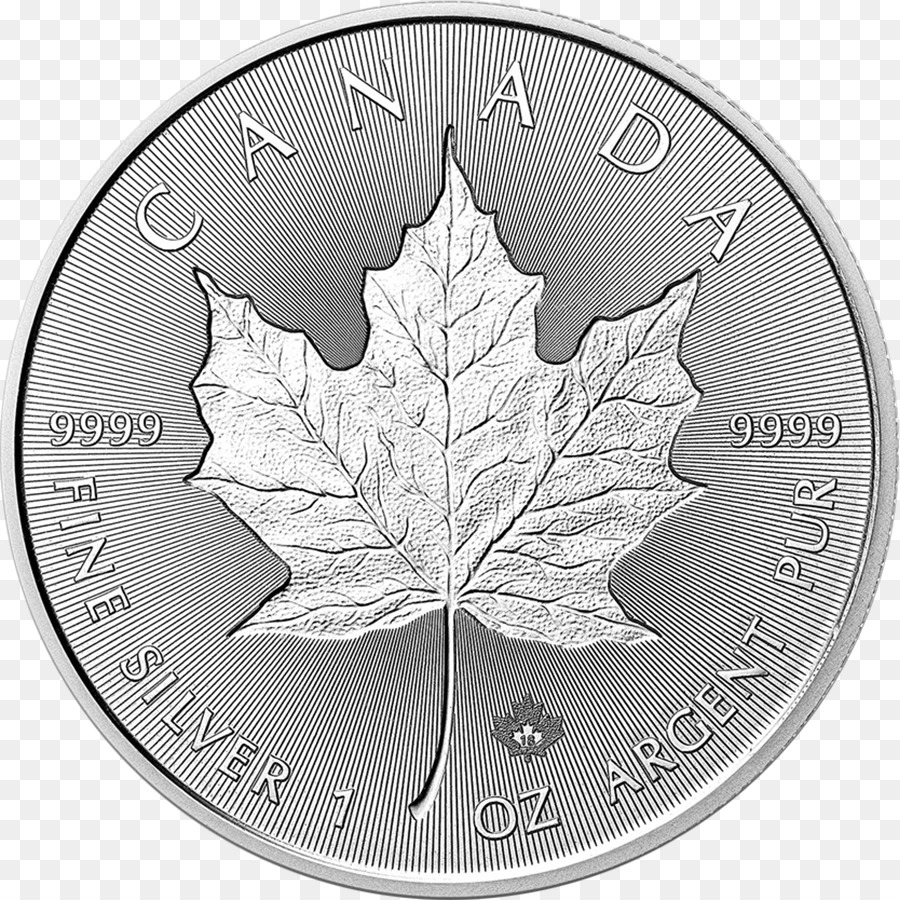 Moneda De Plata Canadiense，Divisa PNG