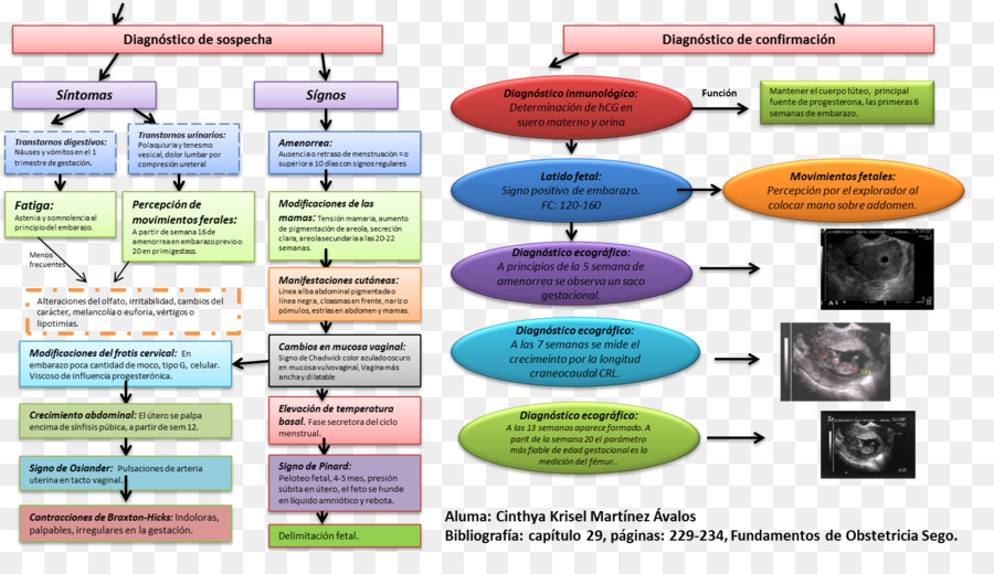 Fundamentos De Obstetrícia，Obstetricia Y Ginecología PNG