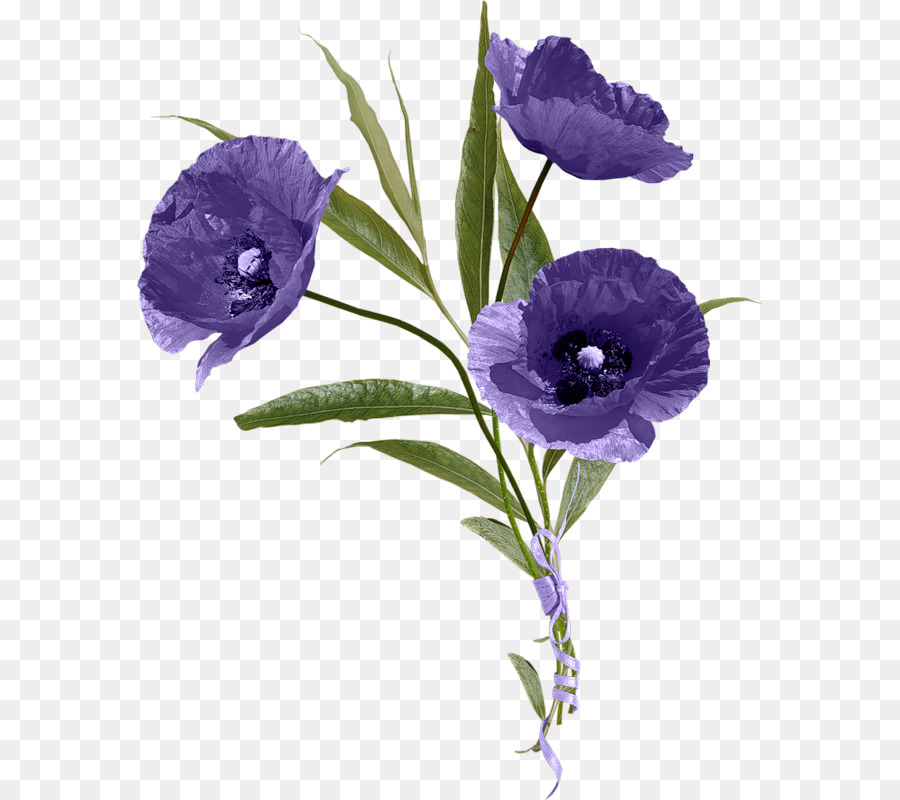 Flores Moradas，Pétalos PNG