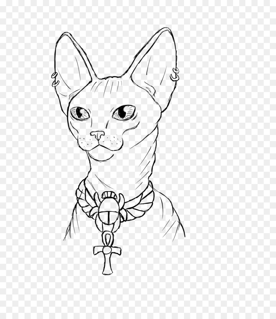 Dibujo De Gato，Bosquejo PNG