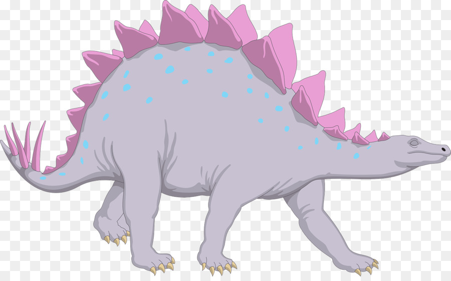 Stegosaurus，Triceratops PNG