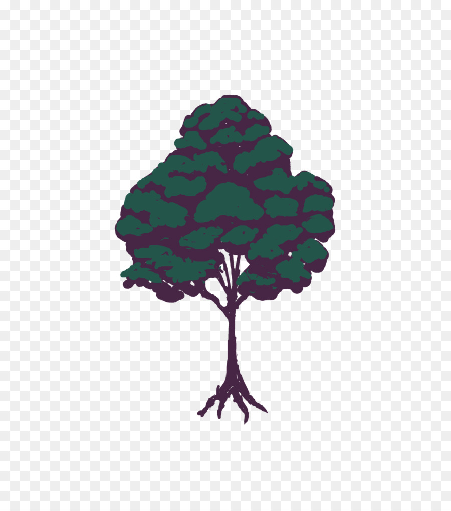 Árbol，Verde PNG