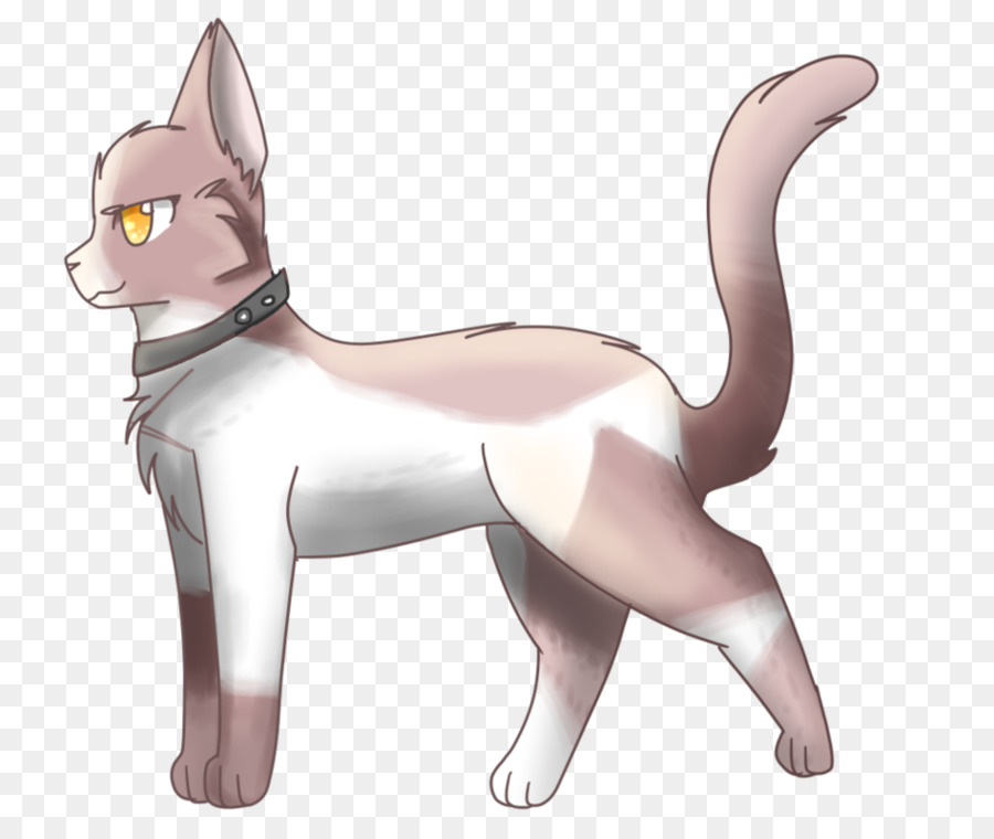 Gato Gris，Mascota PNG