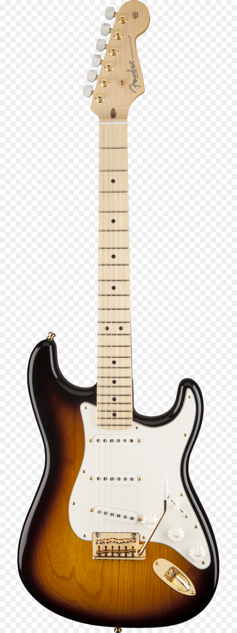 Fender Stratocaster，Fender Musical Instruments Corporation PNG