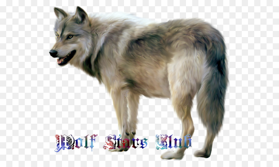 Perro Lobo Checoslovaco，Utonagan PNG