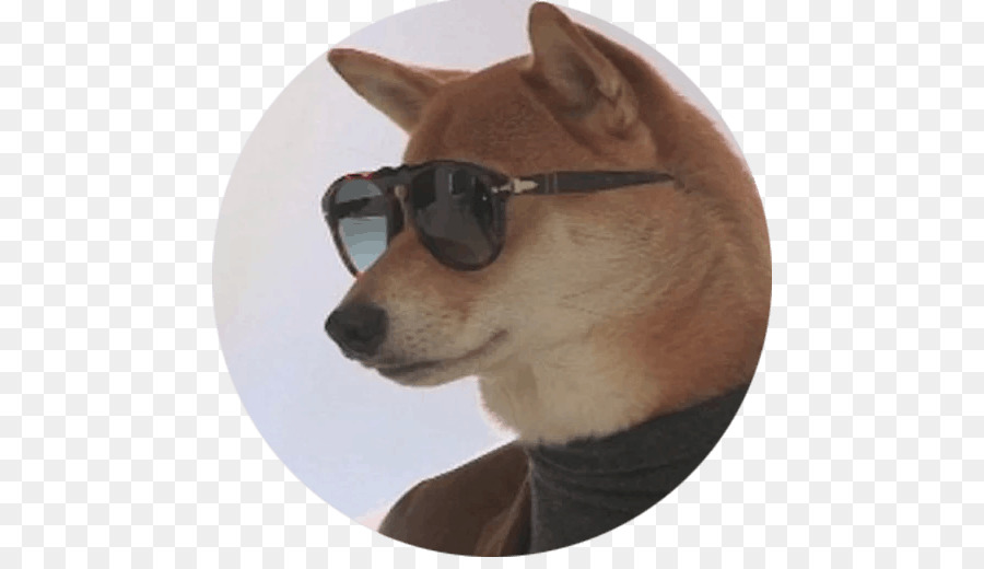 Shiba Inu，Cachorro PNG