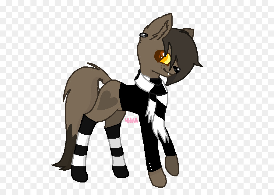 Gato，Caballo PNG