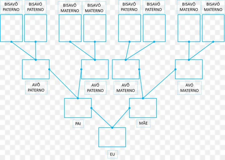 árbol De La Familia，Genealogía PNG