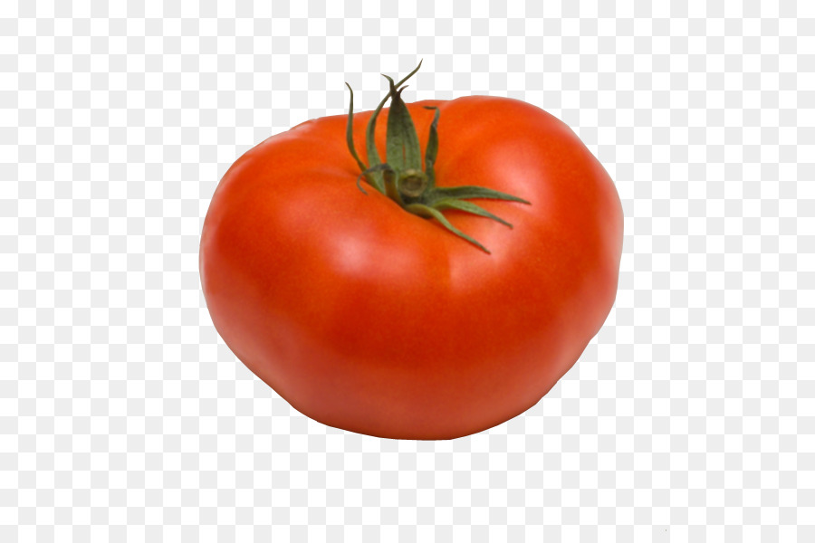 Tomate Ciruela，Bush Tomate PNG