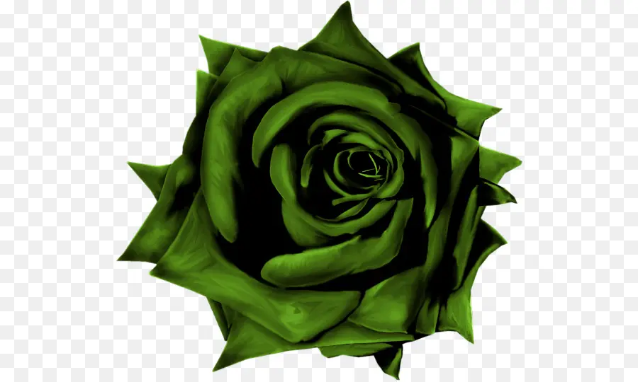 Rosa Verde，Flor PNG