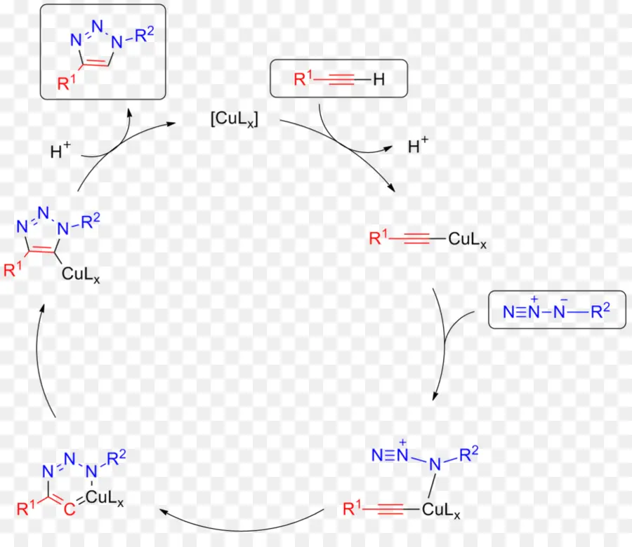 Azidealkyne Huisgen De Cicloadición，Haga Clic En La Química PNG