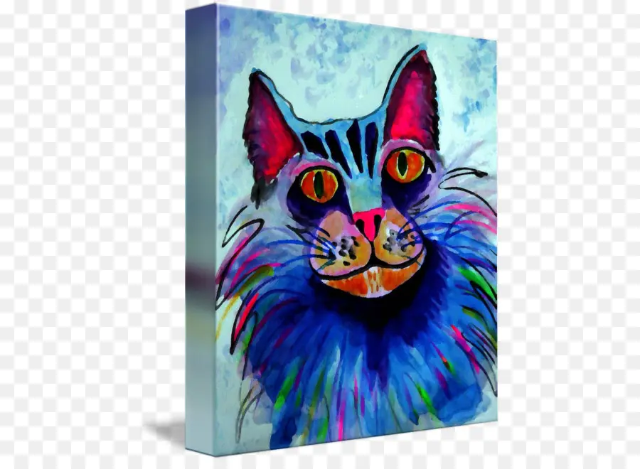 Gato Colorido，Gato PNG