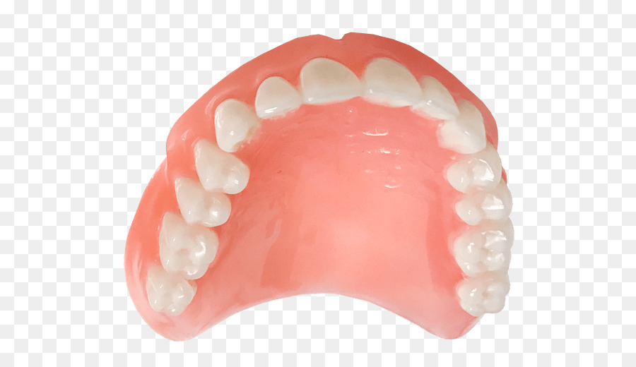 Diente，Prótesis Dentales PNG