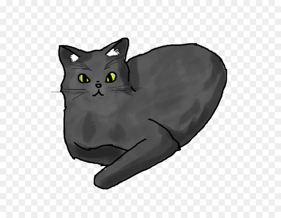 Korat，Chartreux PNG