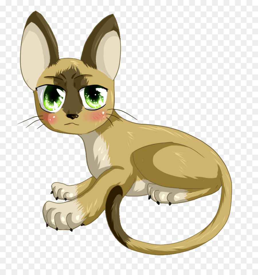 Bigotes，Gatito PNG