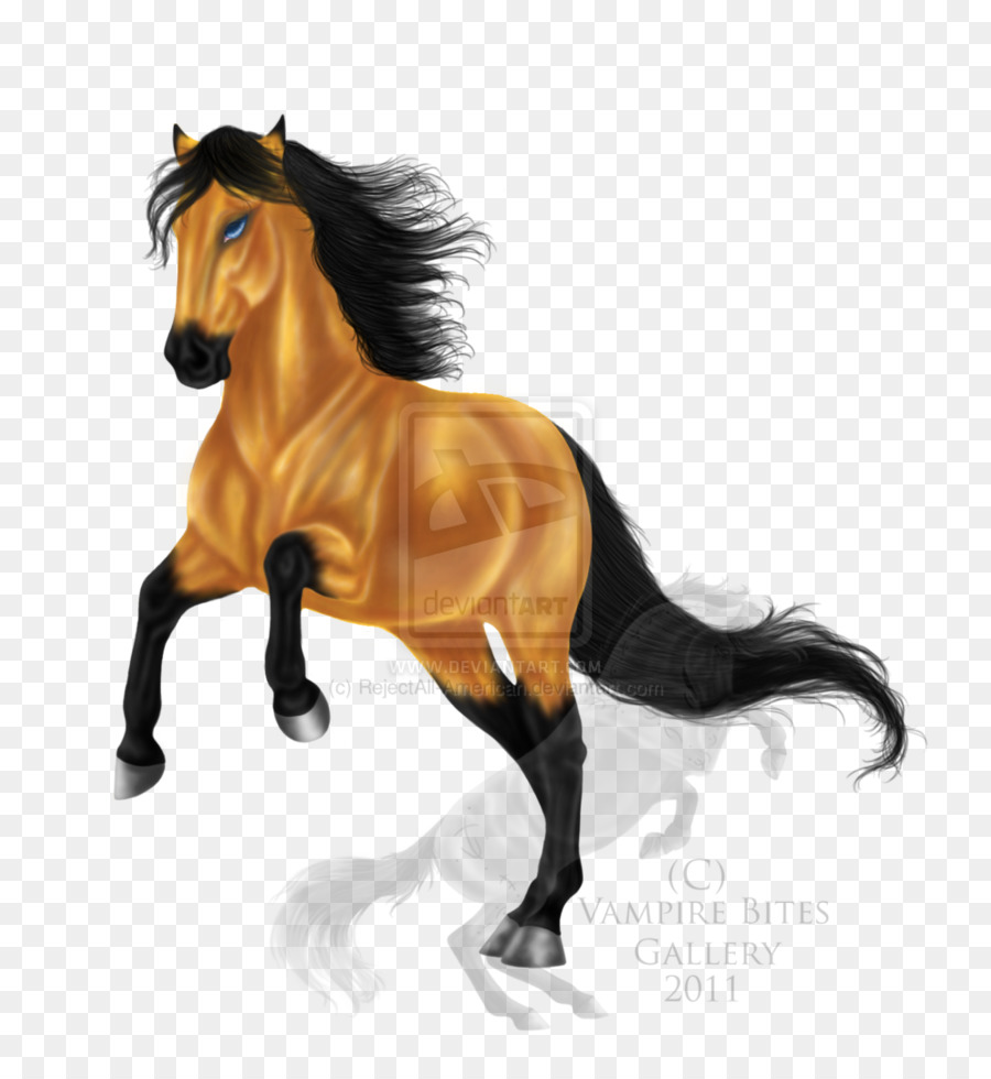 Caballo Marrón，Equino PNG