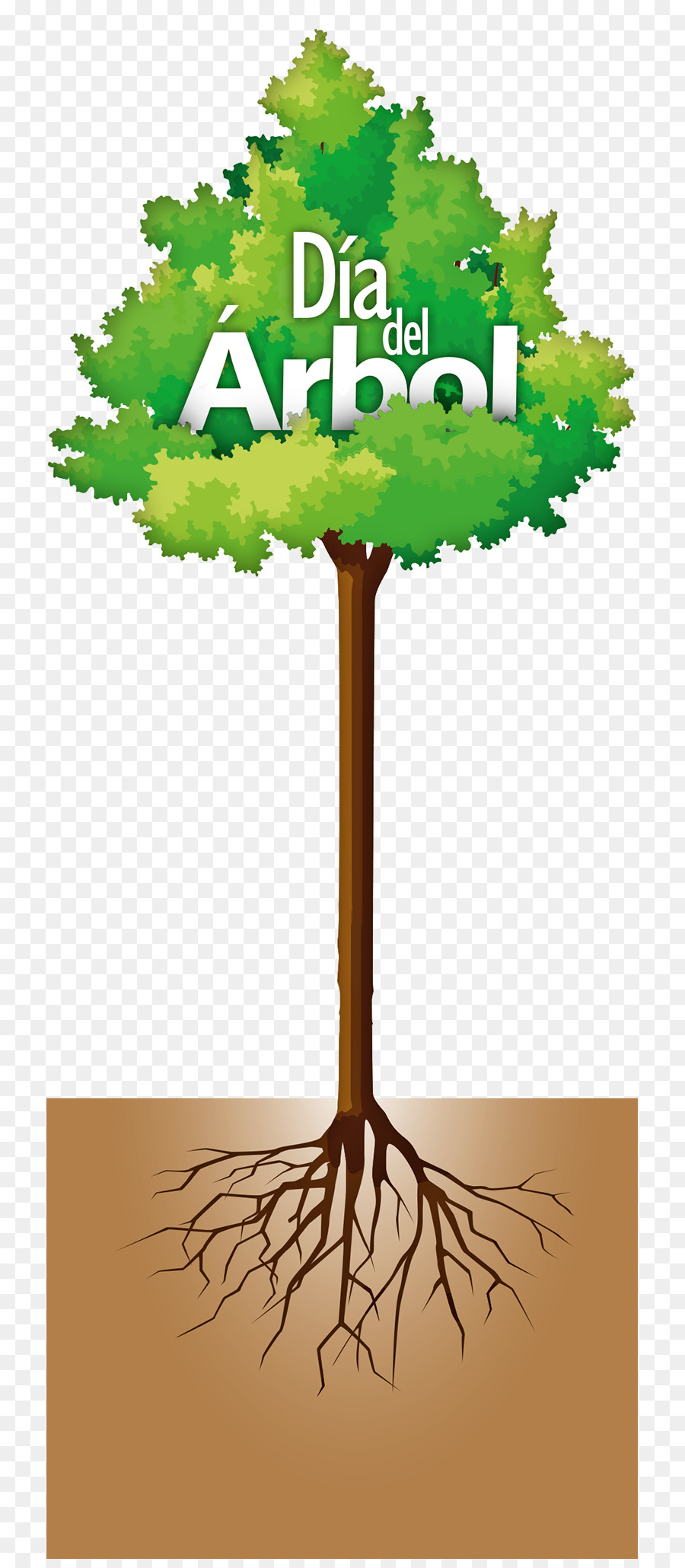 Árbol，El Día Del árbol PNG