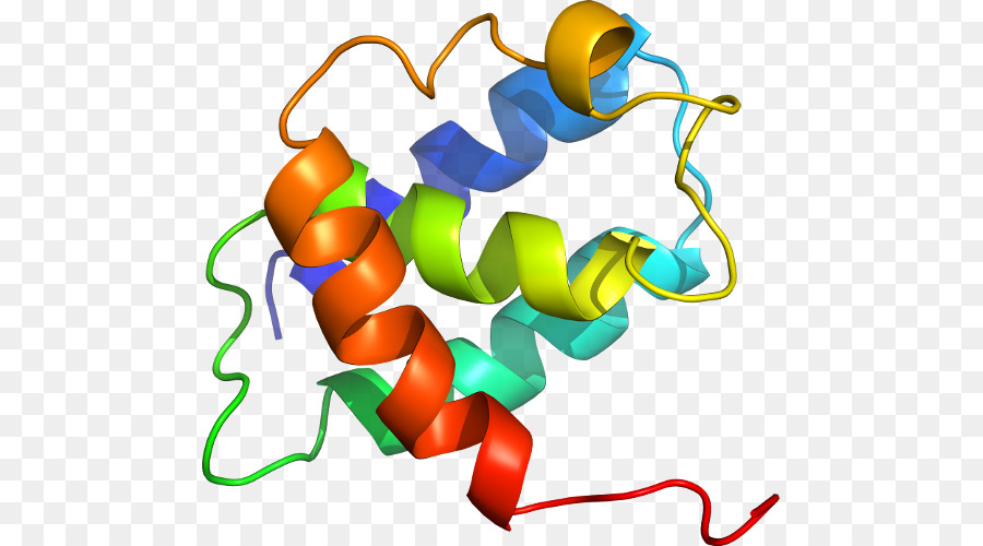 Estructura Proteica，Molécula PNG