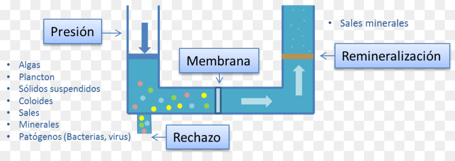 La ósmosis，Osmosis Inversa PNG