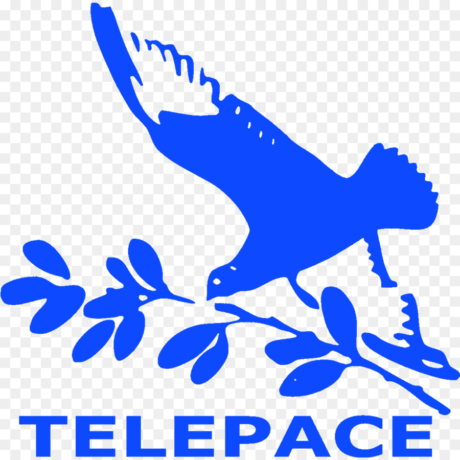 Telepace，La Televisión PNG