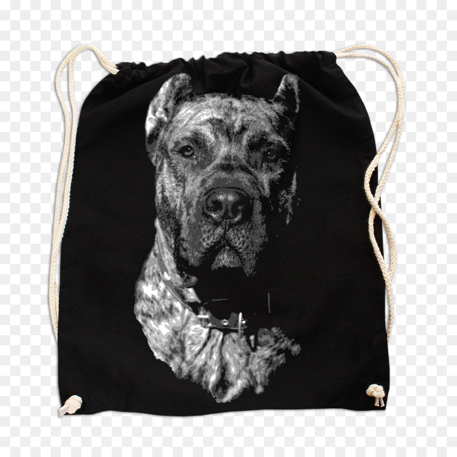 Presa Canario，Dogo Argentino PNG