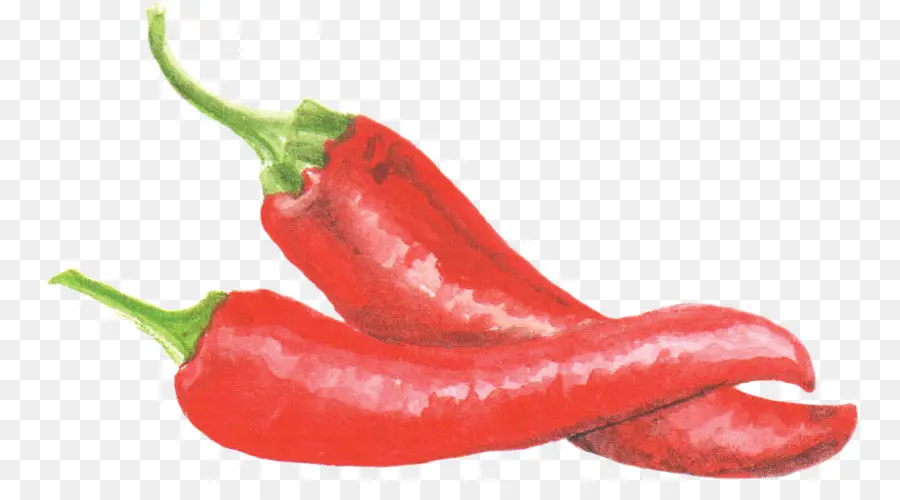 Ojo De Pájaro De Chile，Pimiento De Piquillo PNG