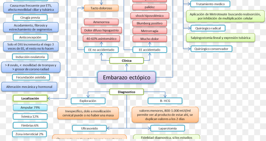 Obstetricia，Obstetricia Y Ginecología PNG