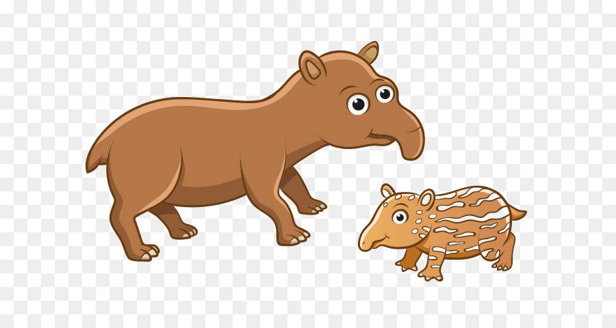 Gato，Caballo PNG