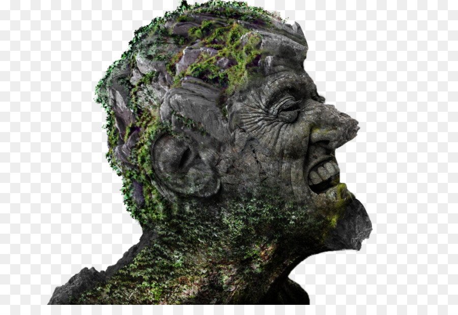 Estatua，Árbol PNG