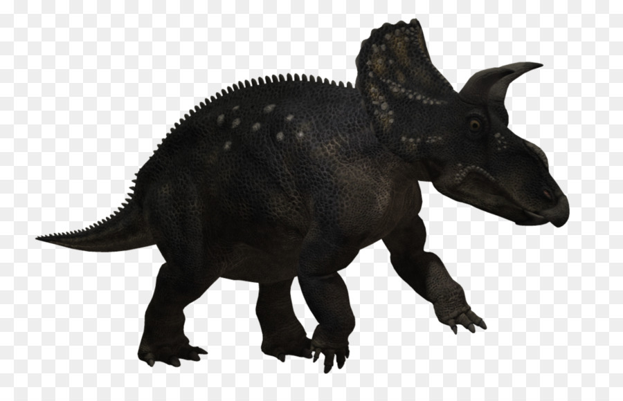 Dinosaurio，Triceratops PNG