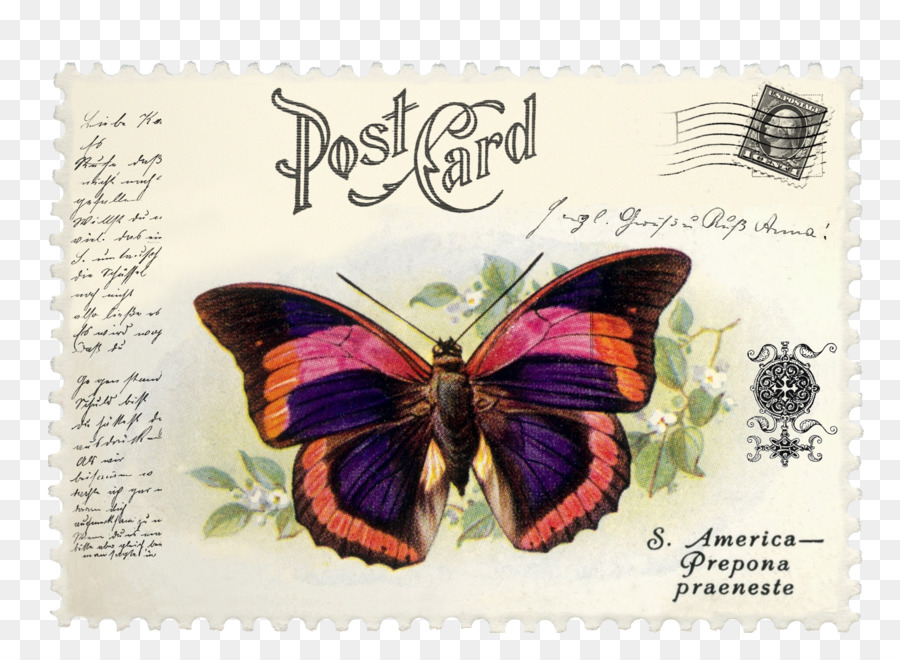 Tarjeta Postal，Mariposa PNG