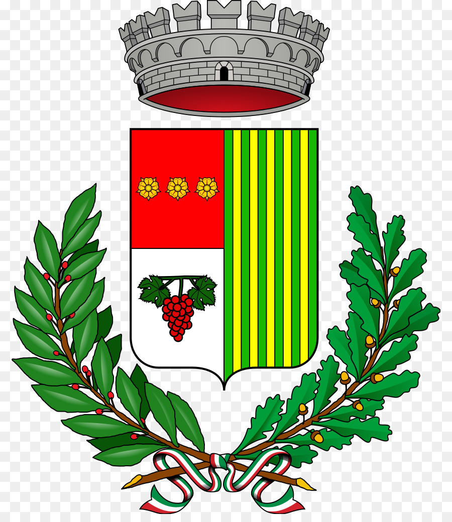 Escudo De Armas，Blindaje PNG