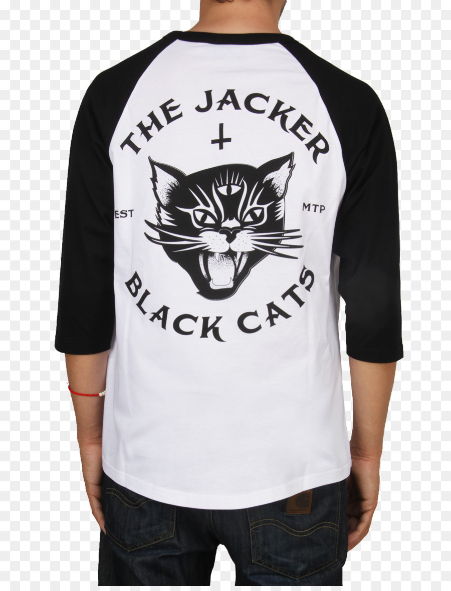 Camiseta，Gato PNG