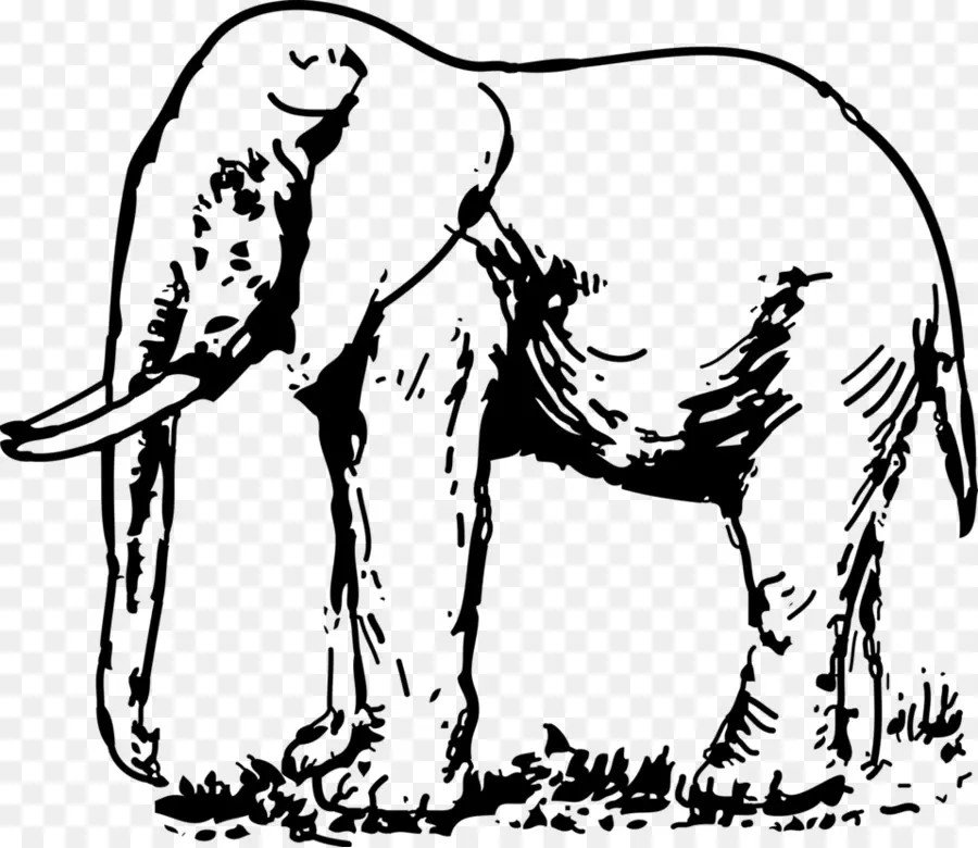 Elephantidae，Dibujo PNG