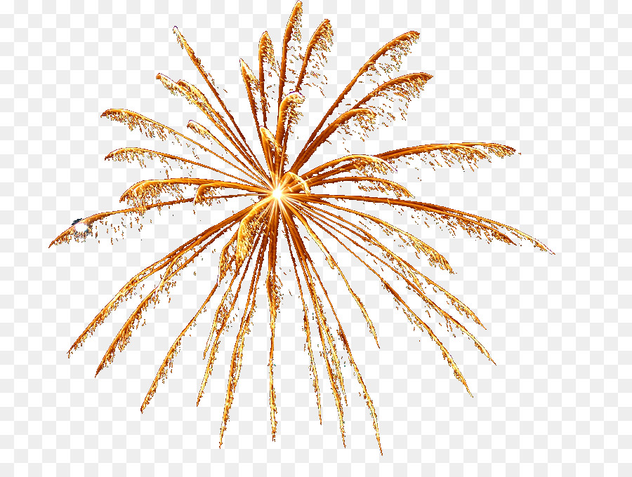 Fuegos Artificiales，Pirotécnica PNG