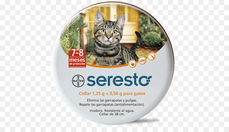 Gato，Perro PNG