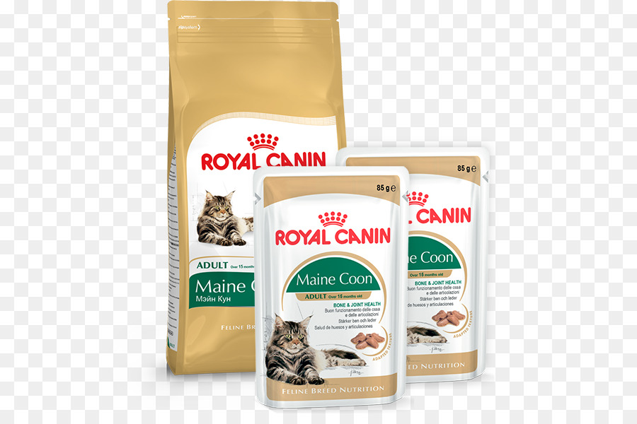 Maine Coon，Comida De Gato PNG