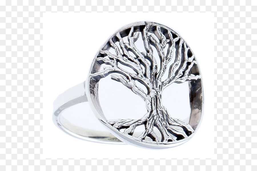 Anillo，Plata De Ley PNG