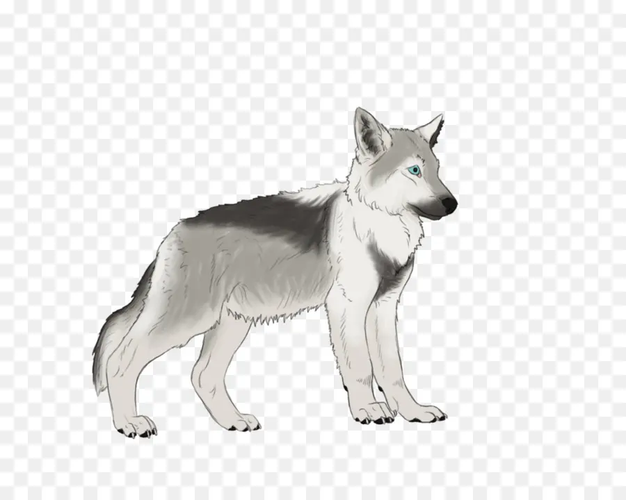 Saarloos Lobo，Perro Lobo Checoslovaco PNG