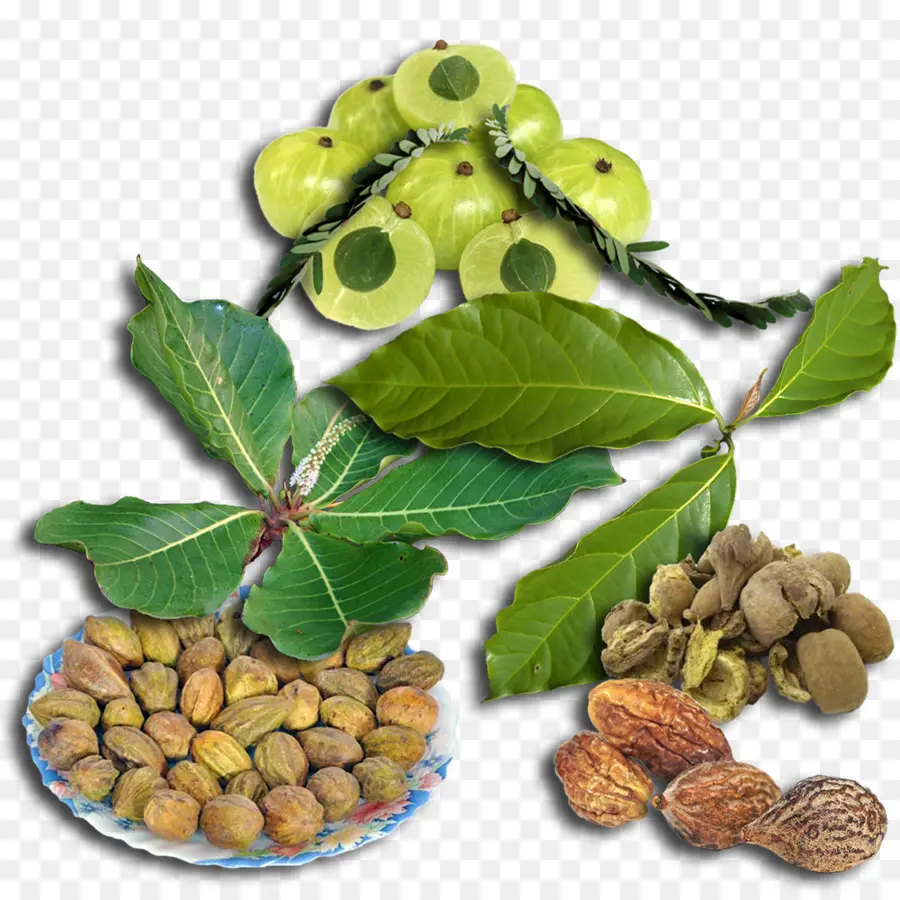 Triphala，Ayurveda PNG