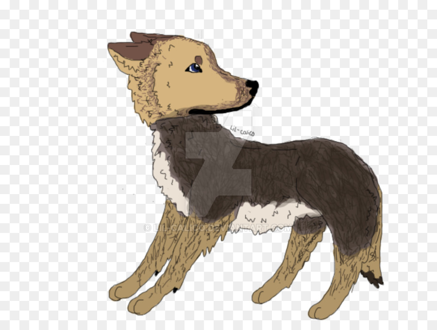 Raza De Perro，Perro PNG