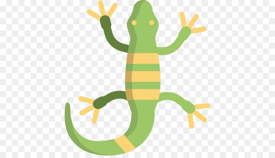 Lagarto，Rana De árbol PNG