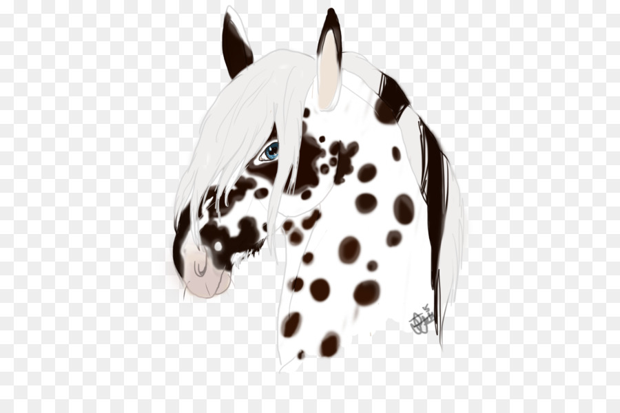 Caballo，Perro Dálmata PNG