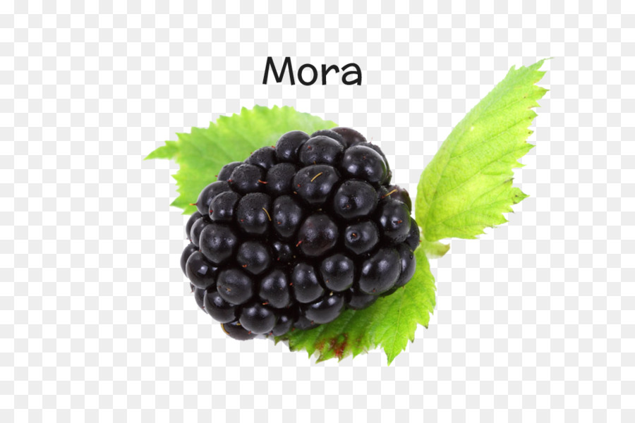 Blackberry，La Fruta PNG