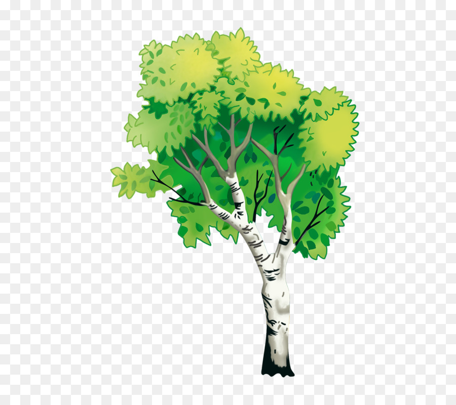 Naturaleza，Entorno Natural PNG